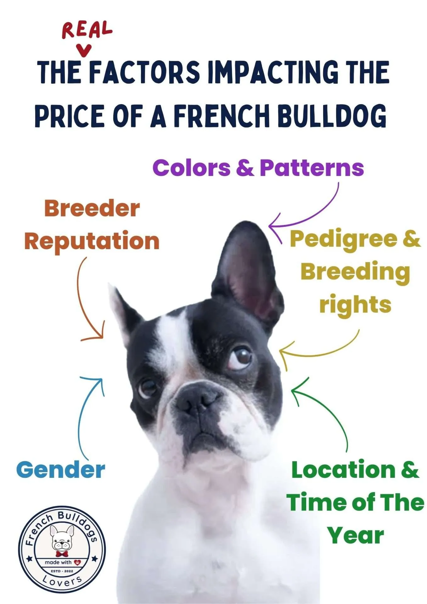 French Bulldog Price Chart 2024 : The Ultimate Buyer's Guide